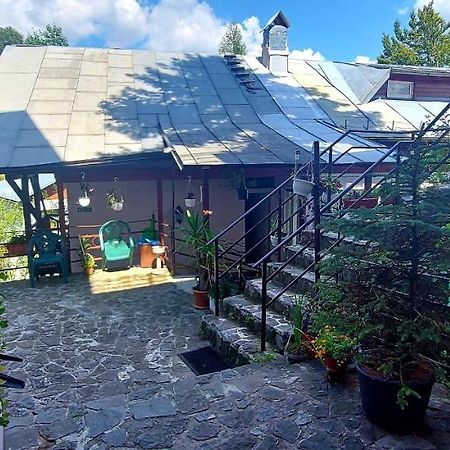 Casa Cristina_ Cabana Buşteni Dış mekan fotoğraf