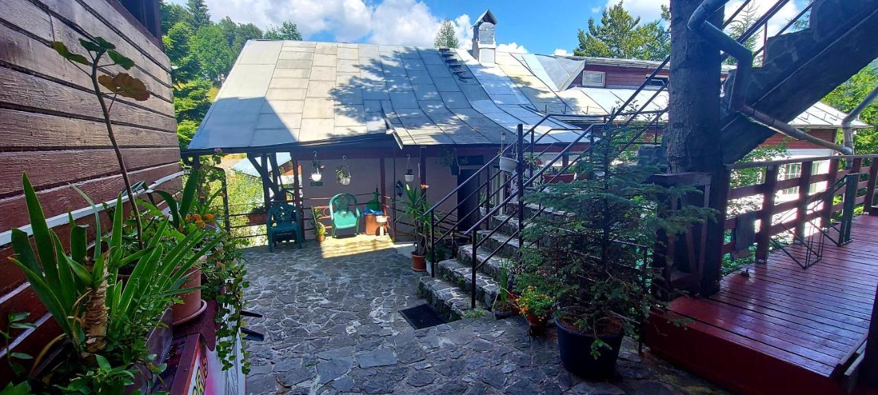 Casa Cristina_ Cabana Buşteni Dış mekan fotoğraf